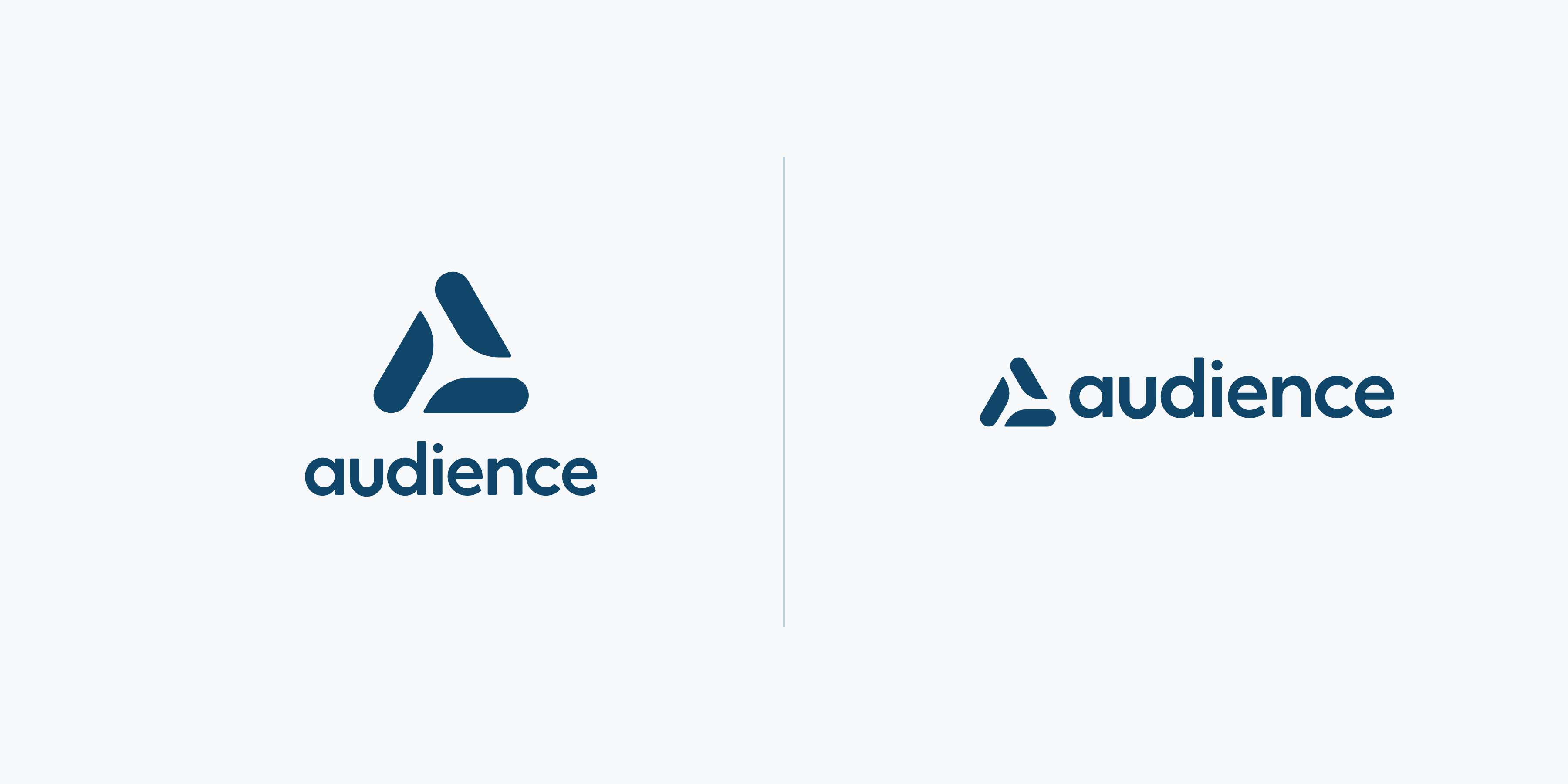 Audience Identity