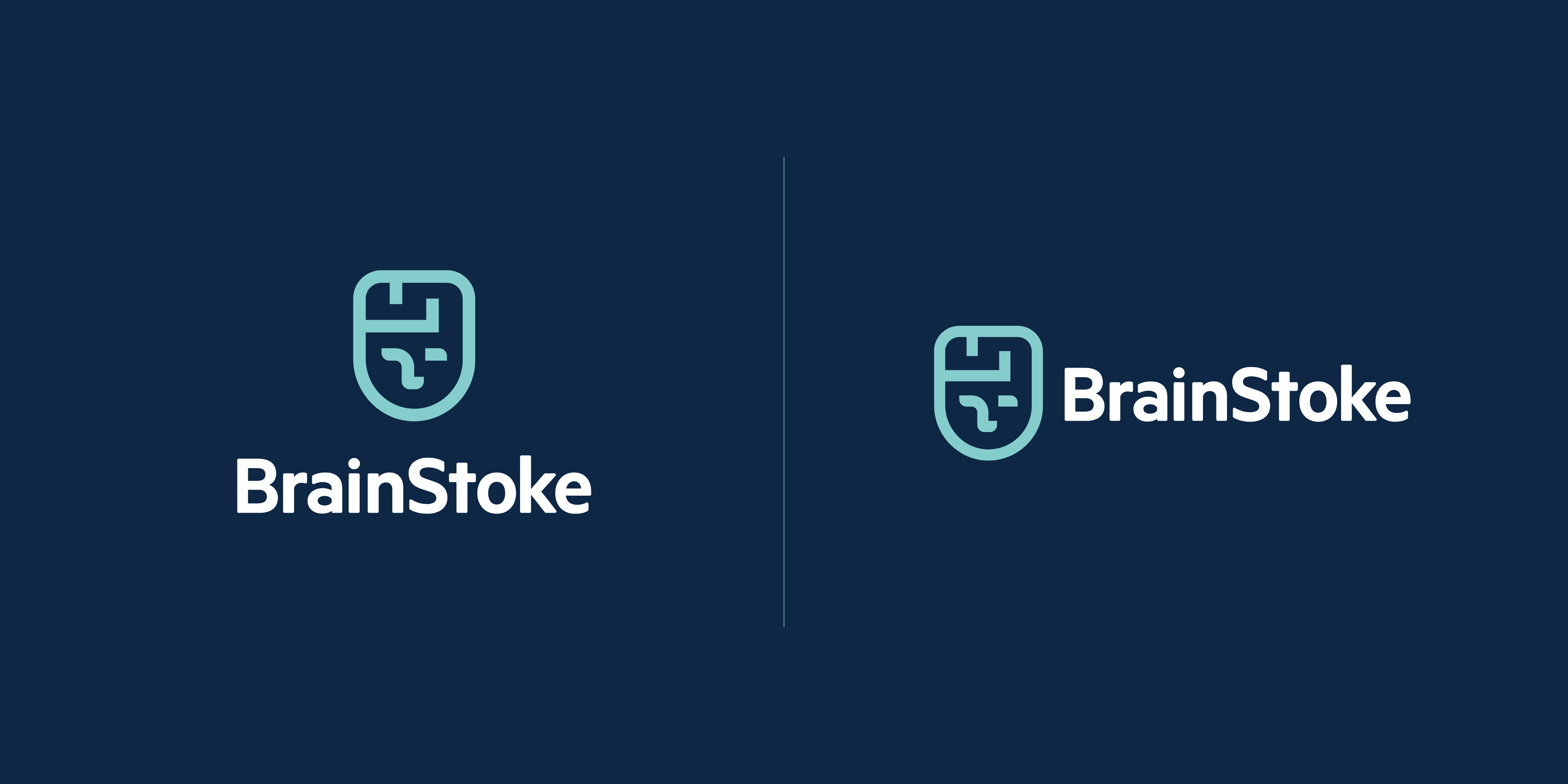 BrainStoke Identity
