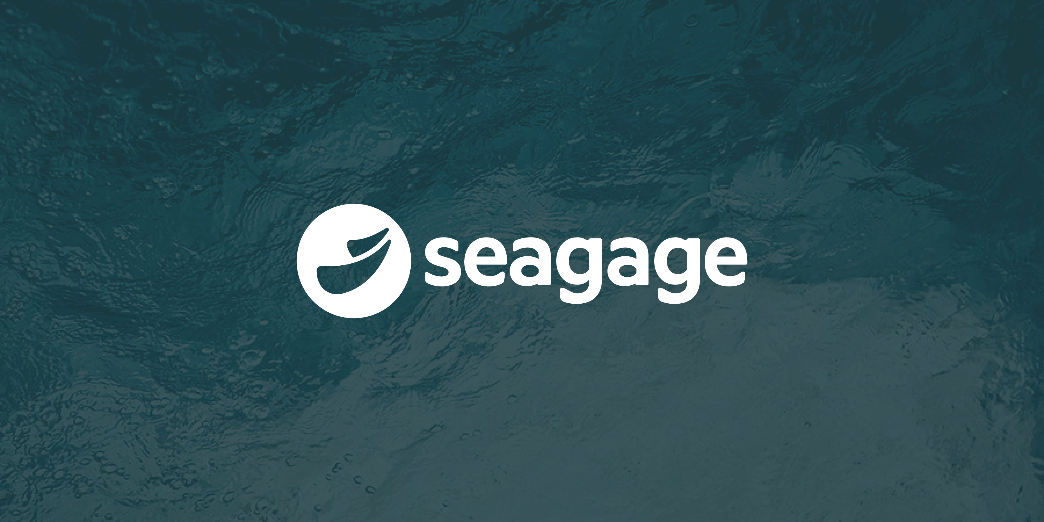 Seagage Hero