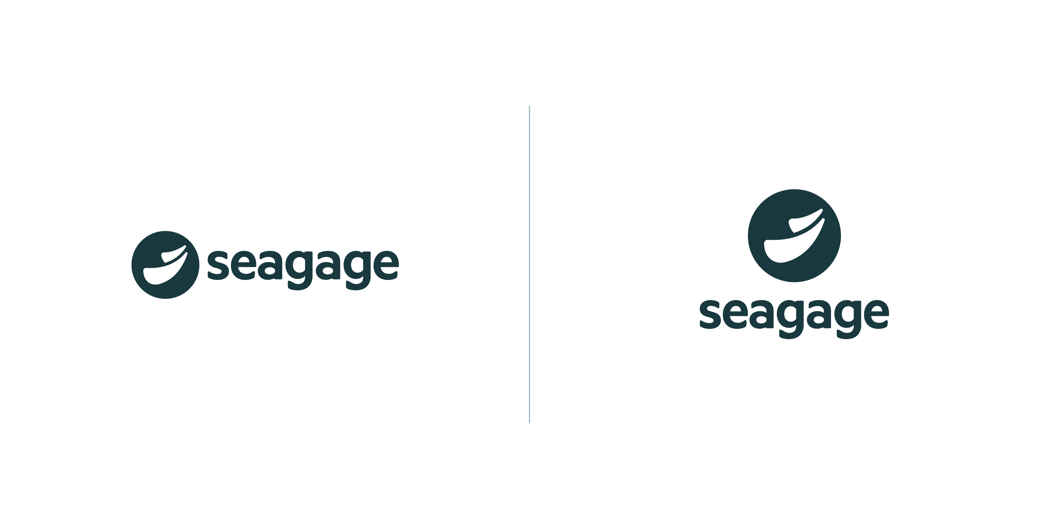 Seagage Identity
